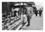 IMG_5134e2.JPG IMG_5134e2.JPG