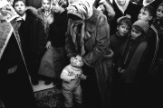 Img12.jpg