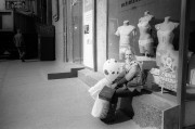 Img8.jpg