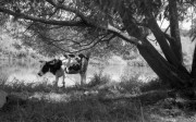 KievII-20160827-013.jpg KievII-20160827-013.jpg
