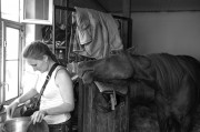 L1000998_1100.jpg