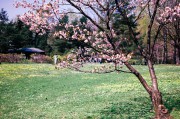 L1001535_2_.jpg L1001535_2_.jpg