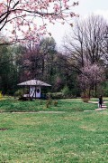 L1001538_2_.jpg