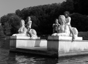 L1004236_1.jpg