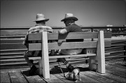 L1005612.jpg