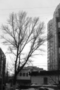 L5382642.JPG L5382642.JPG