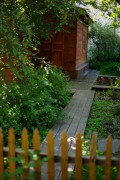 L5383319.JPG L5383319.JPG