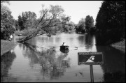 May_2023_Kiev-4_Jup_8_FP4_0018.jpg