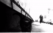 MinoxGTS-20150304-014.png
