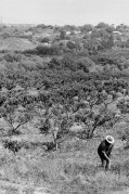 N1_5892_70843_5_.jpeg