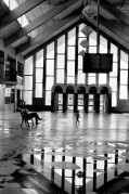N1_5892_70909.jpeg