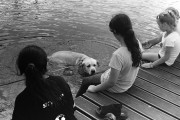 PICT0726.jpg
