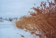 R1-27A.jpg