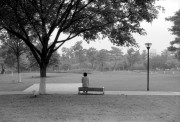 Scan-120417-0003s.jpg