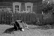 Scan-130617-0001.jpg