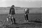 Scan-140508-0001.jpg