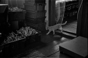 Scan-150906-0013.jpg