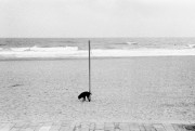 Scan-170228-0015_.jpg