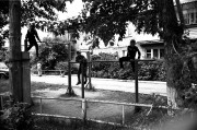 Scan-180630-0012_333_1_1000.jpg