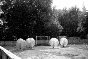 Scan-190708-0035.jpg