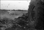 Tracror_109.jpg