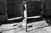 Untitled-1981.jpg