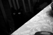Untitled-2631.jpg