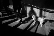Untitled-2811.jpg