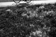 Untitled-355.jpg