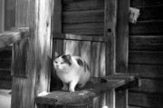 Untitled-481.jpg
