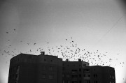 Untitled-509.jpg