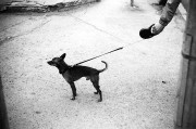 Untitled-537.jpg