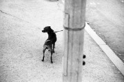 Untitled-538.jpg