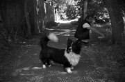 Untitled-644.jpg