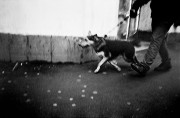 Untitled_10_6.jpg