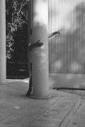 Untitled_1139_.jpg