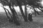 Untitled_113_.jpg