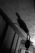 Untitled_11_4.jpg