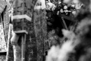 Untitled_122.jpg