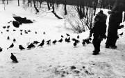 Untitled_23_5.jpg