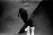 Untitled_28_.jpg