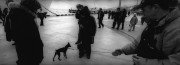 Untitled_292.jpg