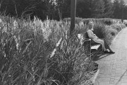 Untitled_317_.jpg