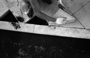 Untitled_33_.jpg