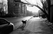 Untitled_4_8.jpg