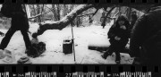 Untitled_71.jpg