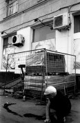Untitled_8_3.jpg