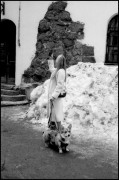 VESNA_LETO22_LCL_40MM_PAN100_01_780.jpg