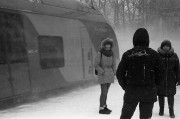 ZorkyZK-20160121-017.jpg