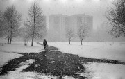 aprilsnow1.jpg